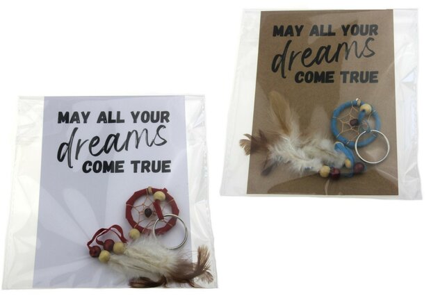 Gelukszakje kaart may all your dreams come true sleutelhanger dromenvanger