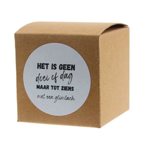 Geluksdoosje kraft het is geen doei of dag maar tot ziens met een glimlach 4.5 cm chinese gelukspop 1
