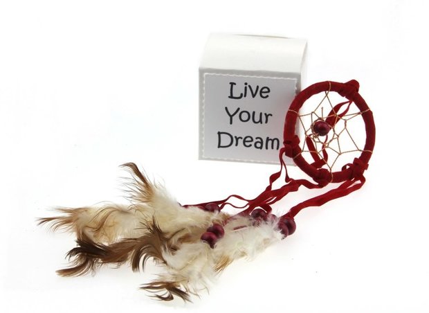 Geluksdoosje Live your dream 1